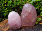 Polished Rose Quartz Standing Free Forms x 2 Madagascar - Toprock Gemstones and Minerals 