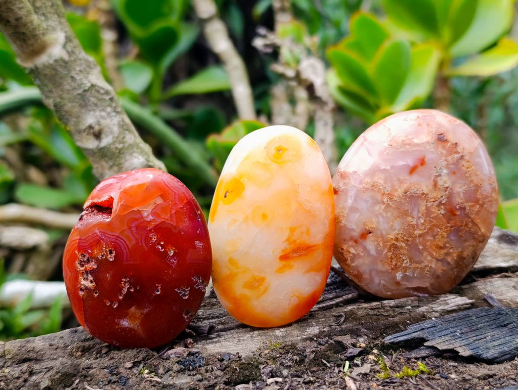 Polished Carnelian Agate Palm Stones x 12 From Madagascar - Toprock Gemstones and Minerals 