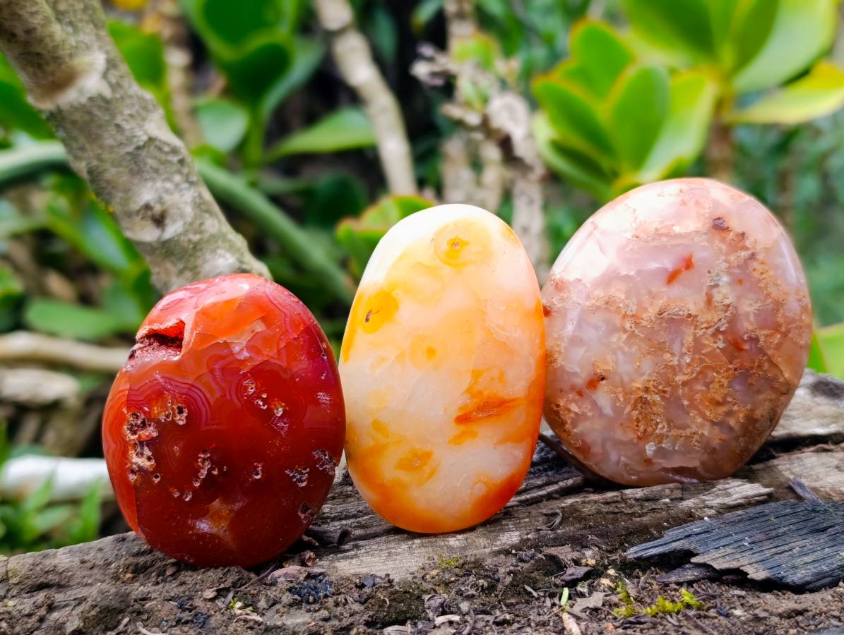 Polished Carnelian Agate Palm Stones x 12 From Madagascar - Toprock Gemstones and Minerals 