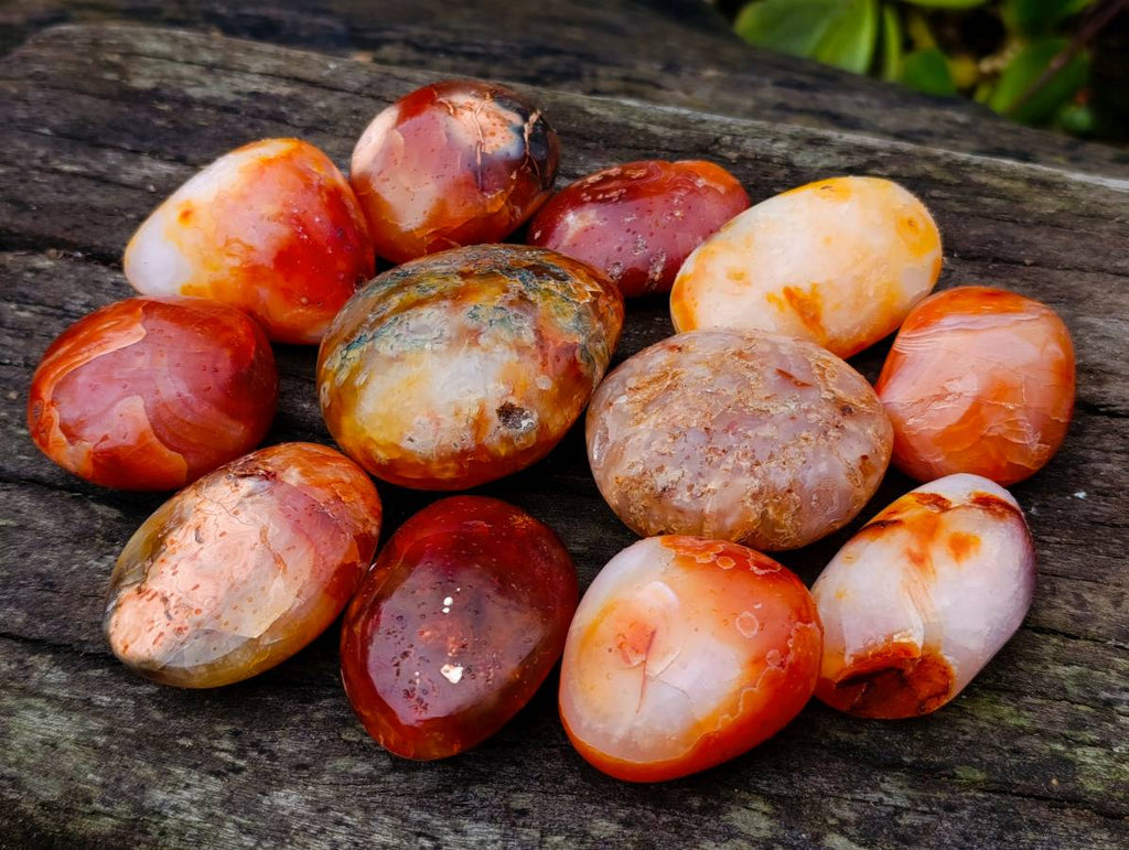 Polished Carnelian Agate Palm Stones x 12 From Madagascar - Toprock Gemstones and Minerals 