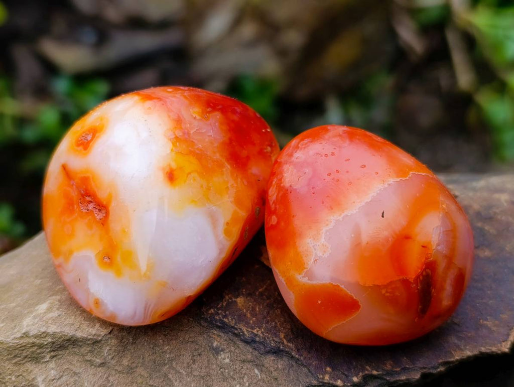 Polished Carnelian Agate Palm Stones x 12 From Madagascar - Toprock Gemstones and Minerals 