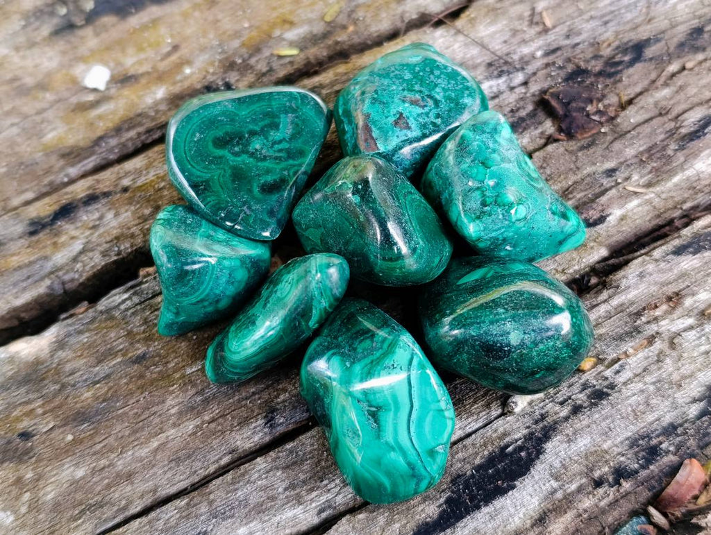 Polished Flower Banded Malachite Free Forms x 70 From Congo - Toprock Gemstones and Minerals 