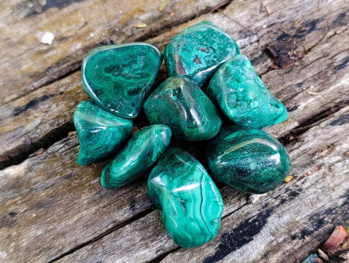 Polished Flower Banded Malachite Free Forms x 70 From Congo - Toprock Gemstones and Minerals 