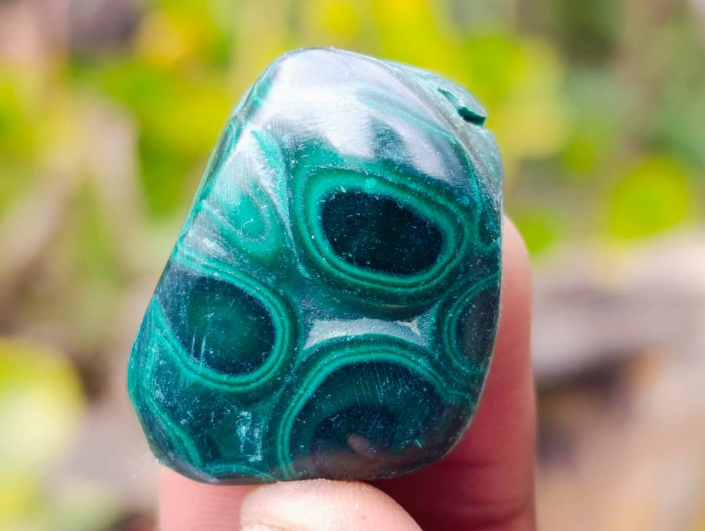 Polished Flower Banded Malachite Free Forms x 70 From Congo - Toprock Gemstones and Minerals 