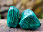 Polished Flower Banded Malachite Free Forms x 70 From Congo - Toprock Gemstones and Minerals 
