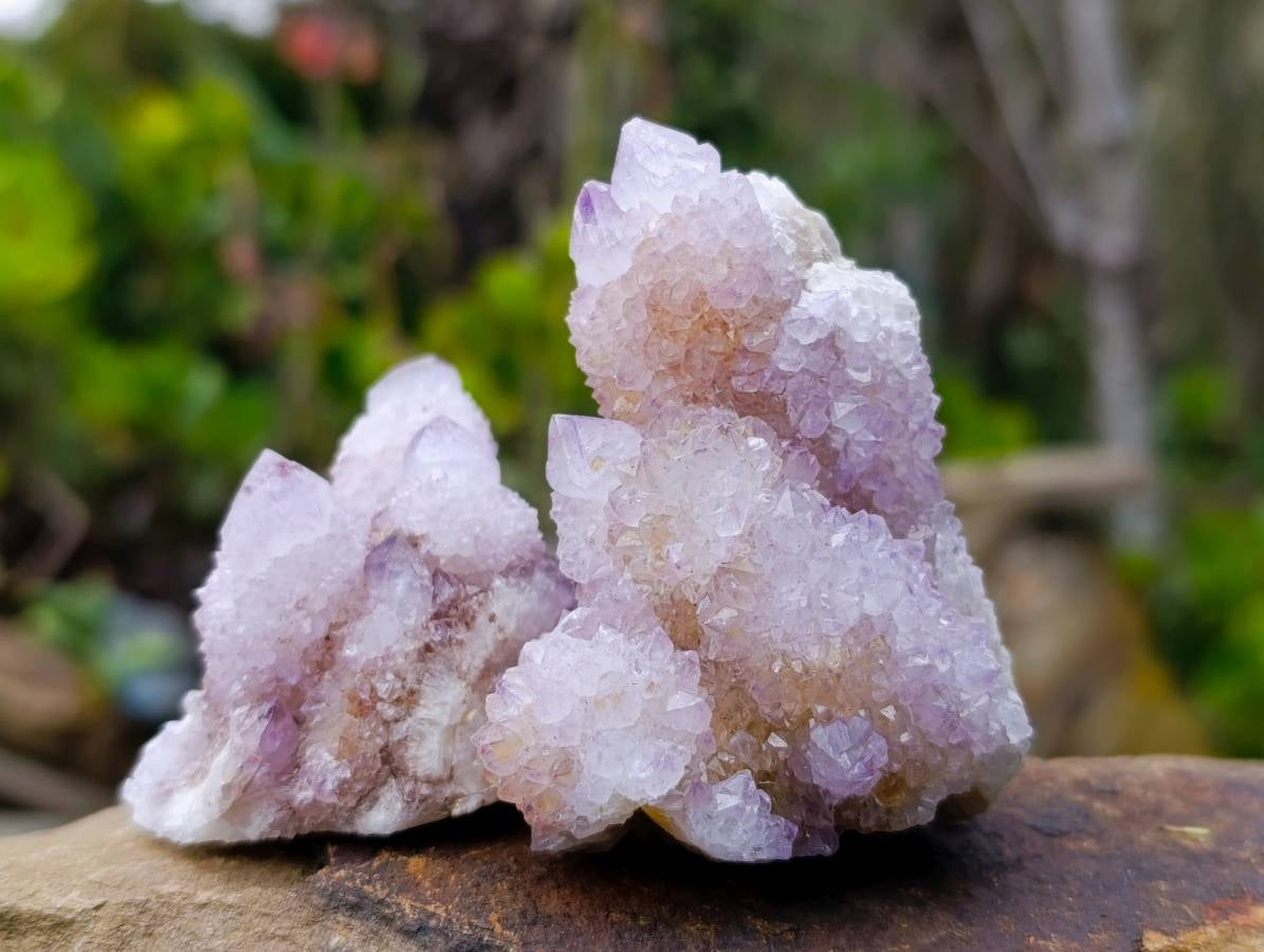 Natural Amethyst Spirit Quartz Clusters x 12 From Boekenhouthoek, South Africa - Toprock Gemstones and Minerals 