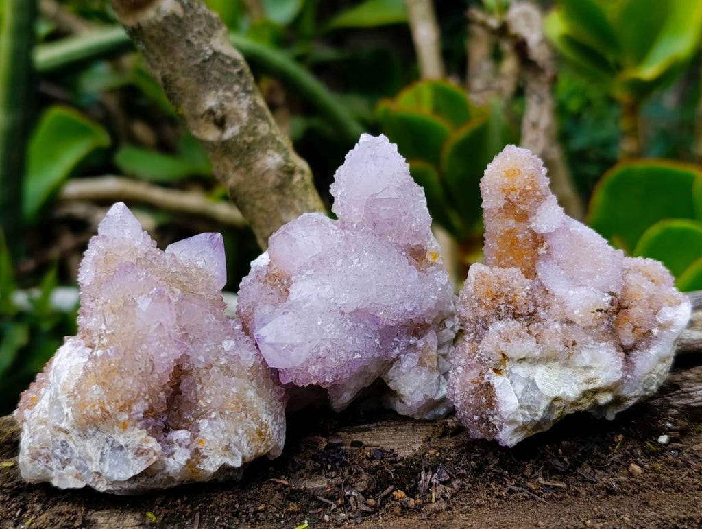 Natural Amethyst Spirit Quartz Clusters x 12 From Boekenhouthoek, South Africa - Toprock Gemstones and Minerals 