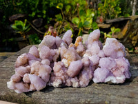 Natural Amethyst Spirit Quartz Clusters x 12 From Boekenhouthoek, South Africa