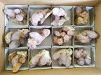 Natural Amethyst Spirit Quartz Clusters x 12 From Boekenhouthoek, South Africa - Toprock Gemstones and Minerals 