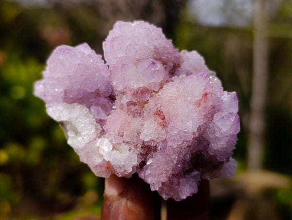 Natural Amethyst Spirit Quartz Clusters x 12 From Boekenhouthoek, South Africa