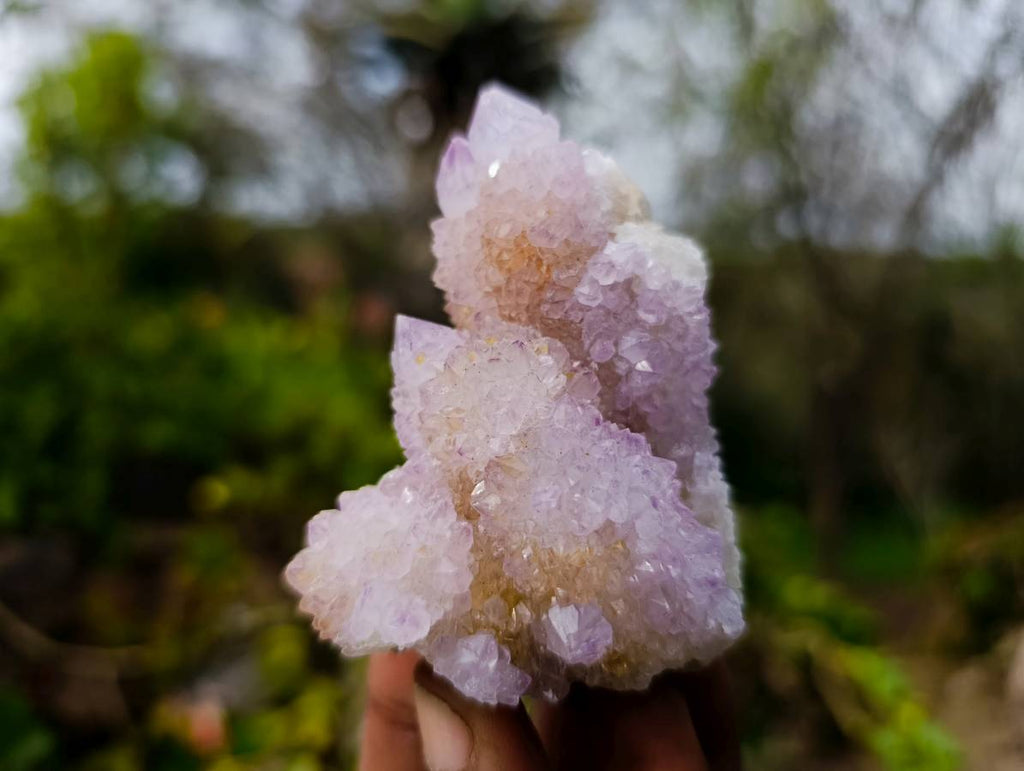 Natural Amethyst Spirit Quartz Clusters x 12 From Boekenhouthoek, South Africa - Toprock Gemstones and Minerals 
