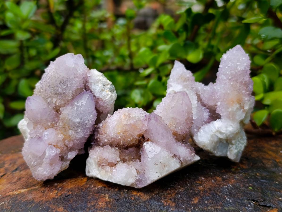Natural Amethyst Spirit Quartz Clusters x 12 From Boekenhouthoek, South Africa - Toprock Gemstones and Minerals 