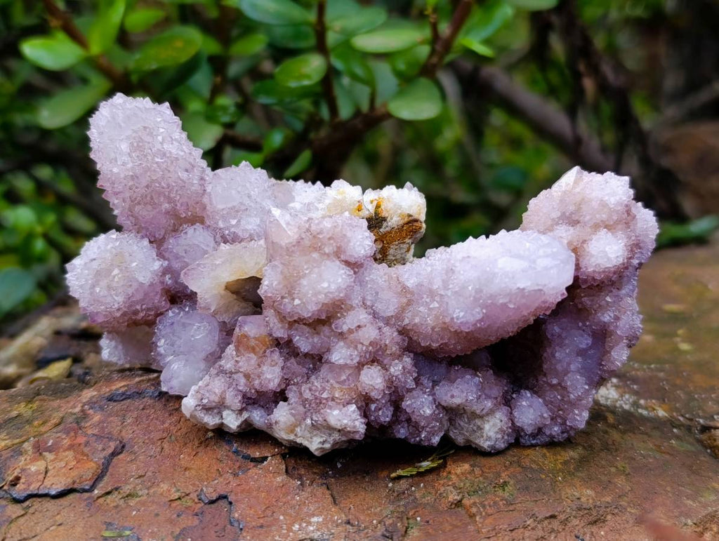 Natural Amethyst Spirit Quartz Clusters x 12 From Boekenhouthoek, South Africa - Toprock Gemstones and Minerals 