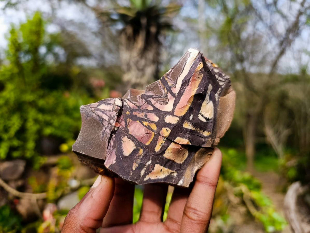 Natural Selected Nguni Jasper Cobbed Specimens x 12 From Prieska, South Africa - Toprock Gemstones and Minerals 