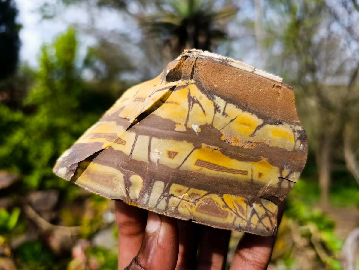 Natural Selected Nguni Jasper Cobbed Specimens x 12 From Prieska, South Africa - Toprock Gemstones and Minerals 