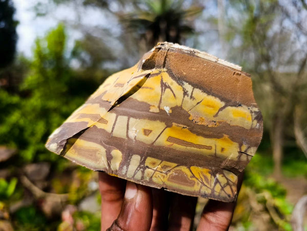 Natural Selected Nguni Jasper Cobbed Specimens x 12 From Prieska, South Africa