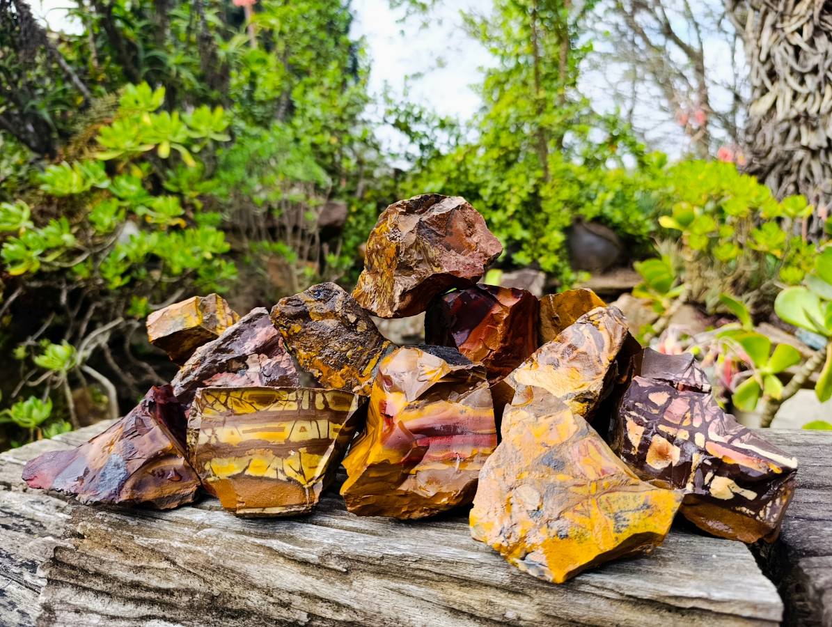 Natural Selected Nguni Jasper Cobbed Specimens x 12 From Prieska, South Africa - Toprock Gemstones and Minerals 