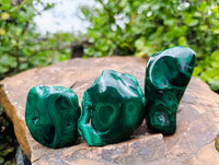 Polished Flower Banded Malachite Free Forms x 12 From Congo - Toprock Gemstones and Minerals 