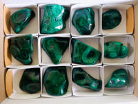 Polished Flower Banded Malachite Free Forms x 12 From Congo - Toprock Gemstones and Minerals 