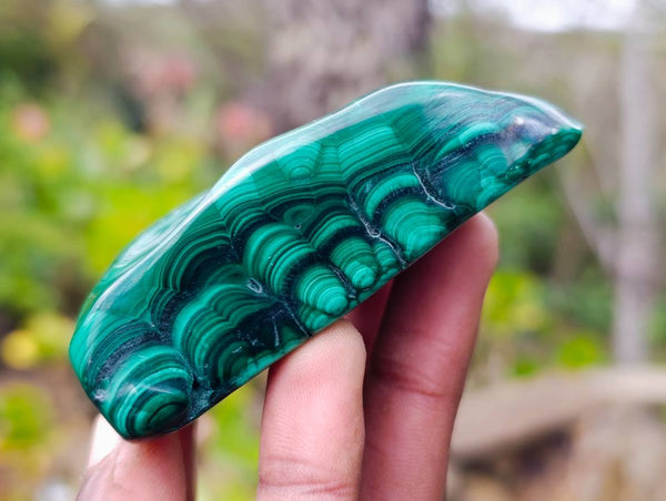Polished Flower Banded Malachite Free Forms x 12 From Congo - Toprock Gemstones and Minerals 