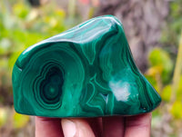 Polished Flower Banded Malachite Free Forms x 12 From Congo - Toprock Gemstones and Minerals 