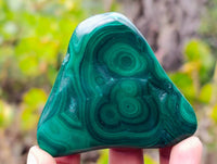 Polished Flower Banded Malachite Free Forms x 12 From Congo - Toprock Gemstones and Minerals 