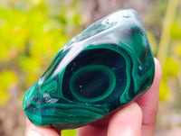 Polished Flower Banded Malachite Free Forms x 12 From Congo - Toprock Gemstones and Minerals 