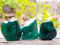 Polished Flower Banded Malachite Free Forms x 12 From Congo - Toprock Gemstones and Minerals 