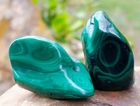 Polished Flower Banded Malachite Free Forms x 12 From Congo - Toprock Gemstones and Minerals 