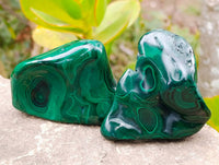 Polished Flower Banded Malachite Free Forms x 12 From Congo - Toprock Gemstones and Minerals 