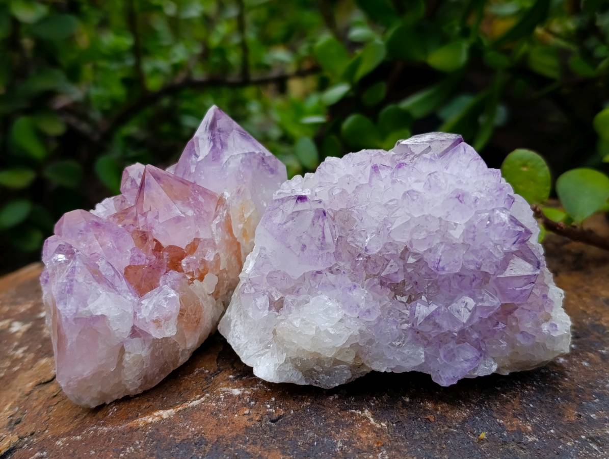 Natural Amethyst Spirit Quartz Clusters x 6 From Boekenhouthoek, South Africa - Toprock Gemstones and Minerals 