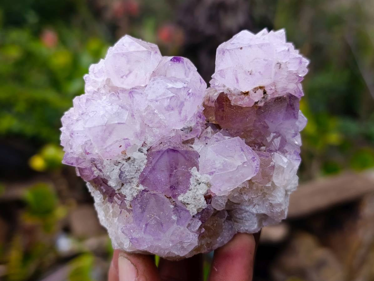 Natural Amethyst Spirit Quartz Clusters x 6 From Boekenhouthoek, South Africa - Toprock Gemstones and Minerals 