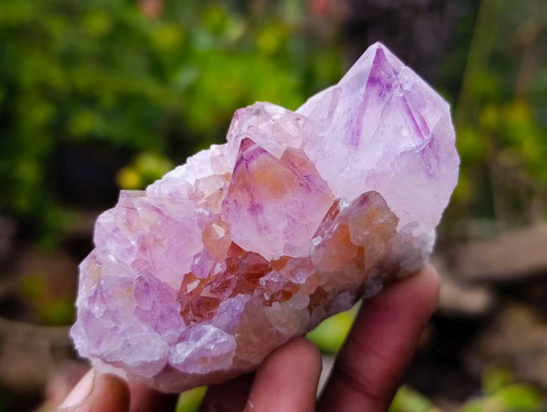 Natural Amethyst Spirit Quartz Clusters x 6 From Boekenhouthoek, South Africa