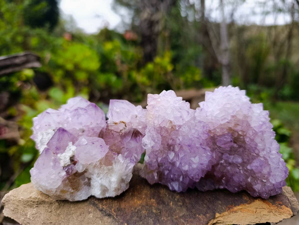 Natural Amethyst Spirit Quartz Clusters x 6 From Boekenhouthoek, South Africa - Toprock Gemstones and Minerals 