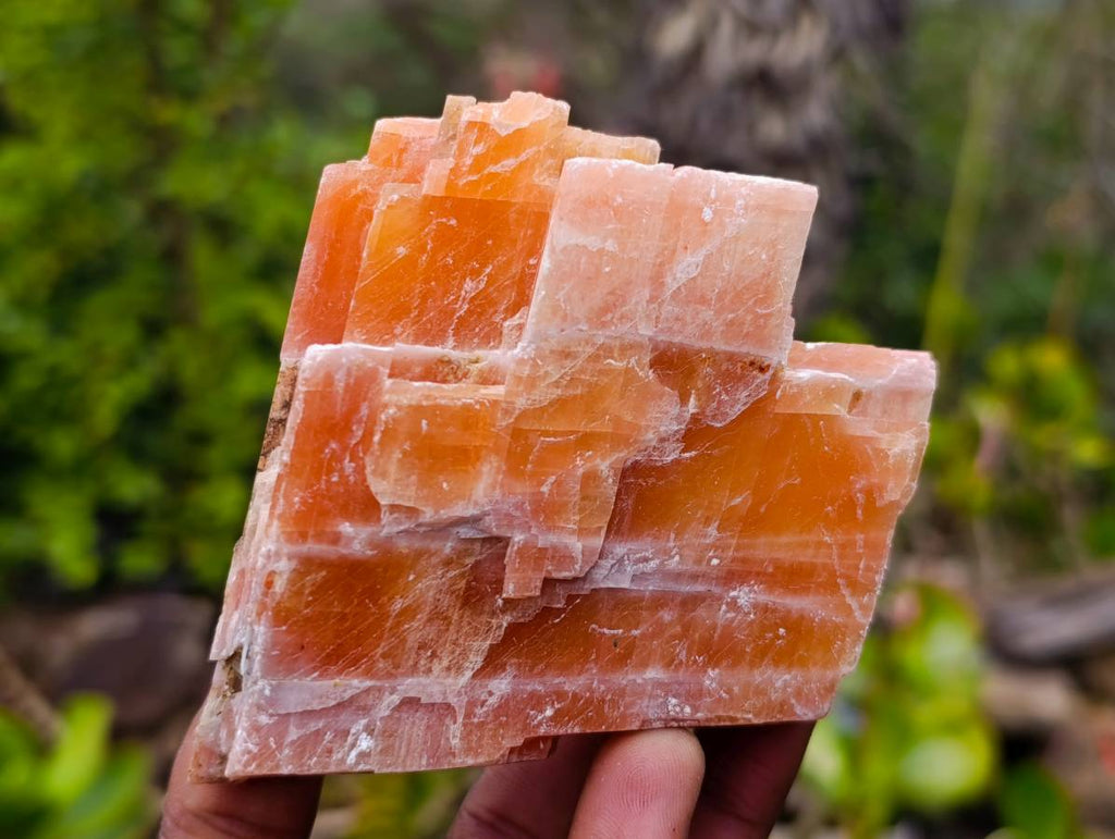 Natural Sunset Orange Calcite Specimens x 6 From Spitzkop, Namibia - Toprock Gemstones and Minerals 