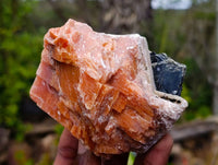 Natural Sunset Orange Calcite Specimens x 6 From Spitzkop, Namibia