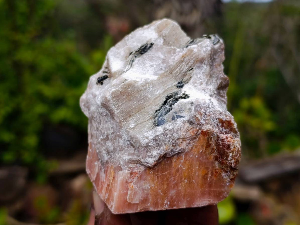 Natural Sunset Orange Calcite Specimens x 6 From Spitzkop, Namibia - Toprock Gemstones and Minerals 