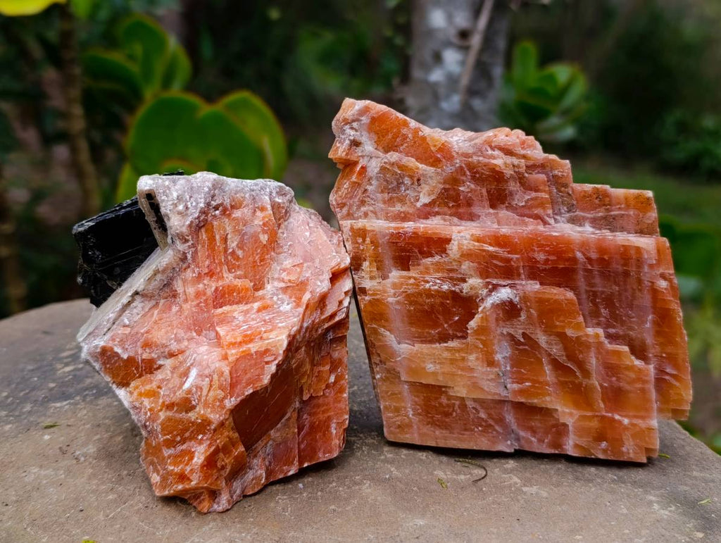 Natural Sunset Orange Calcite Specimens x 6 From Spitzkop, Namibia - Toprock Gemstones and Minerals 