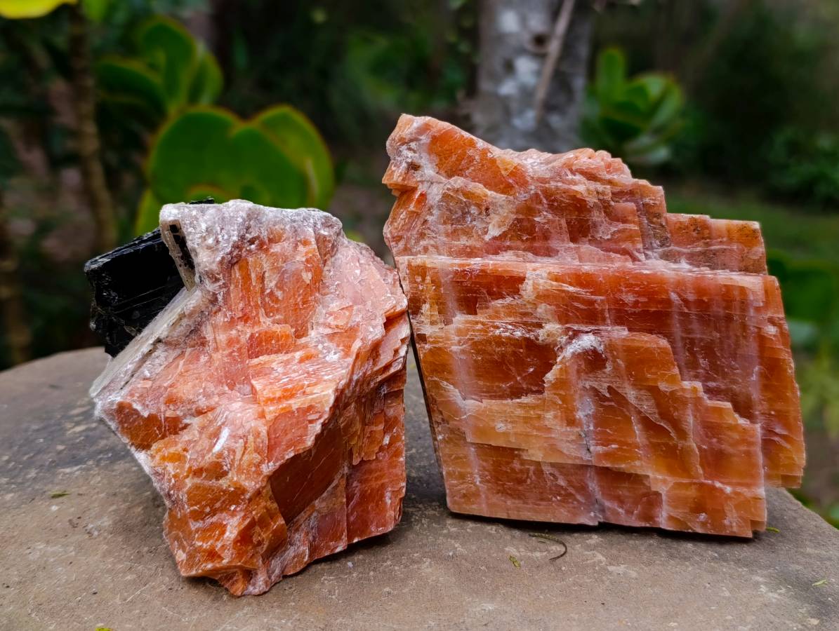 Natural Sunset Orange Calcite Specimens x 6 From Spitzkop, Namibia - Toprock Gemstones and Minerals 