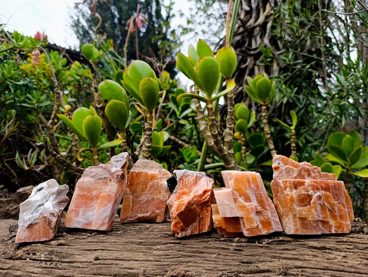 Natural Sunset Orange Calcite Specimens x 6 From Spitzkop, Namibia - Toprock Gemstones and Minerals 