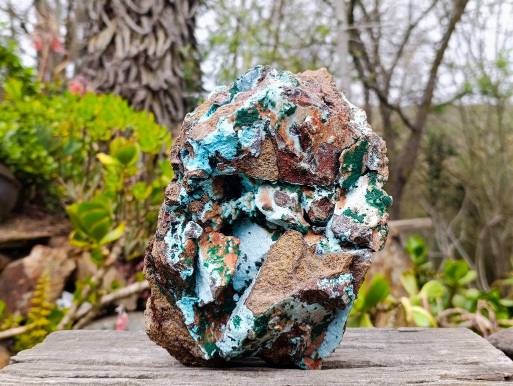 Natural Drusy Coated Chrysocolla With Malachite x 1 From Lupoto Mine, Congo - Toprock Gemstones and Minerals 
