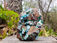 Natural Drusy Coated Chrysocolla With Malachite x 1 From Lupoto Mine, Congo