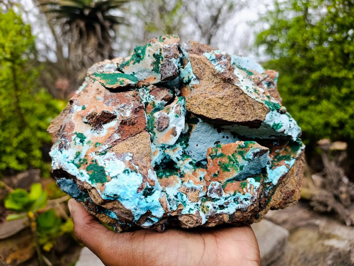 Natural Drusy Coated Chrysocolla With Malachite x 1 From Lupoto Mine, Congo - Toprock Gemstones and Minerals 