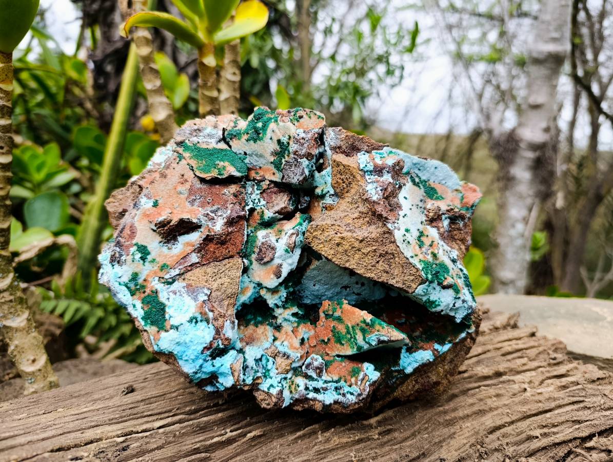 Natural Drusy Coated Chrysocolla With Malachite x 1 From Lupoto Mine, Congo - Toprock Gemstones and Minerals 