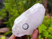 Natural Mixed Brandberg Quartz Specimens x 9 From Brandberg, Namibia