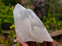 Natural Mixed Brandberg Quartz Specimens x 9 From Brandberg, Namibia