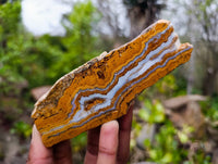Polished On One Side 'Crazy' Blue Lace Agate x 7 From Namibia