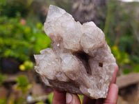 Natural Phantom Smokey Quartz Clusters x 6 From Luena, Congo