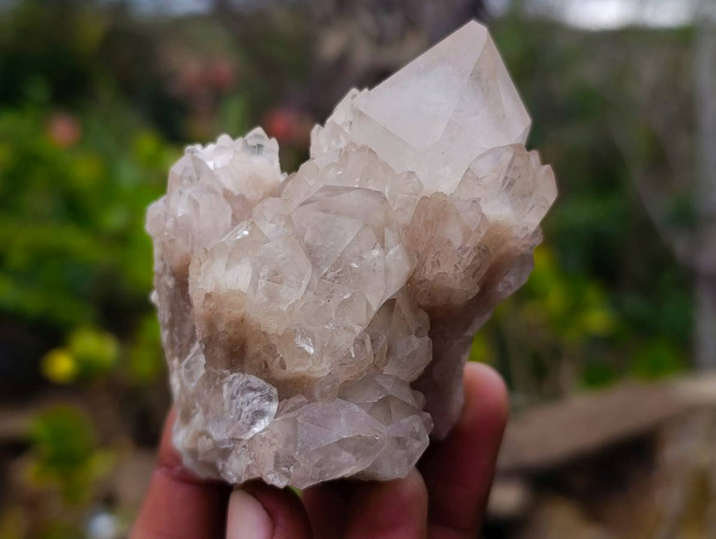 Natural Phantom Smokey Quartz Clusters x 6 From Luena, Congo - Toprock Gemstones and Minerals 