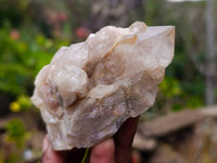 Natural Phantom Smokey Quartz Clusters x 6 From Luena, Congo